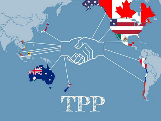 TPP或?qū)D壓中國(guó)零部件出口量